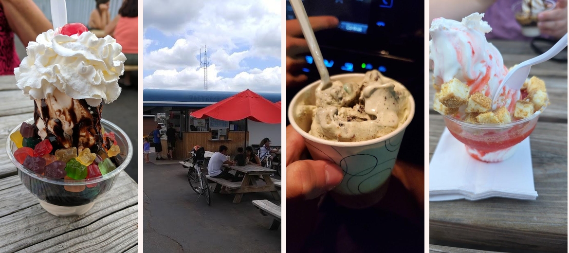 The Freeze Gallery Image 2